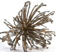 Bronze sculpture flower chloe valorso experimentations 