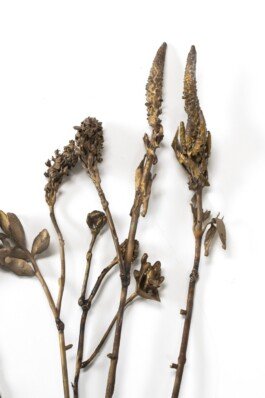 Bronze sculpture flower chloe valorso 