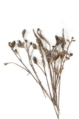 Bronze sculpture flower chloe valorso 