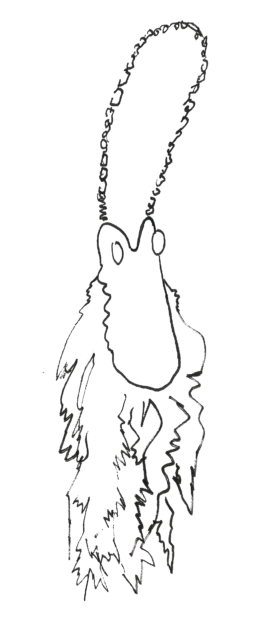 bob drawing amulet necklace 