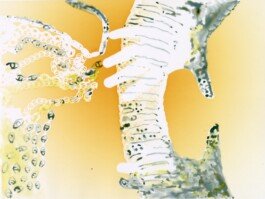 Photogram painted by Chloe Valorso yellow 