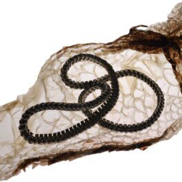 Snake necklace in silver by Chloe Valorso snake bones and silver and gold