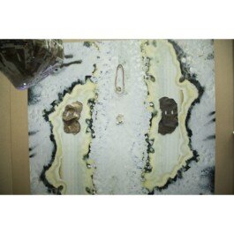 Royal college of art graduation show chloe valorso 2019 view snake